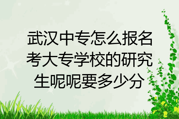 武汉中专怎么报名考大专学校的研究生呢呢要多少分
