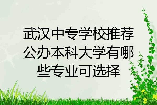 武汉中专学校推荐公办本科大学有哪些专业可选择