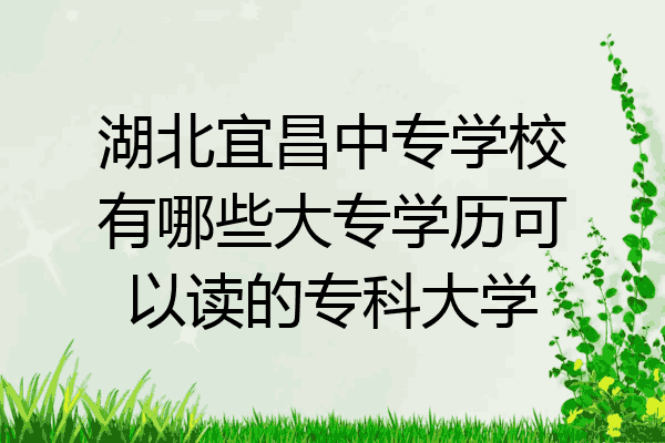 湖北宜昌中专学校有哪些大专学历可以读的专科大学