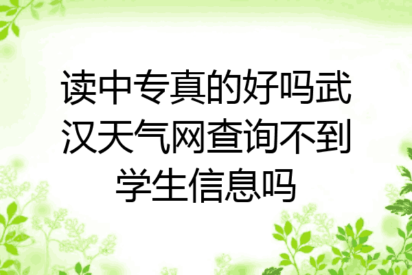读中专真的好吗武汉天气网查询不到学生信息吗