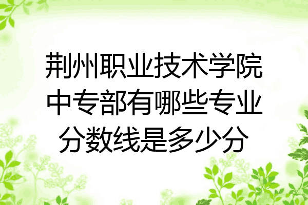 荆州职业技术学院中专部有哪些专业分数线是多少分