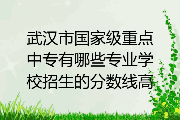 武汉市国家级重点中专有哪些专业学校招生的分数线高