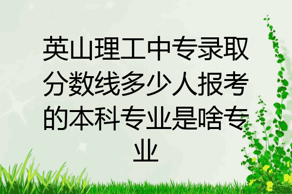 英山理工中专录取分数线多少人报考的本科专业是啥专业