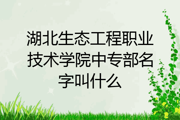 湖北生态工程职业技术学院中专部名字叫什么