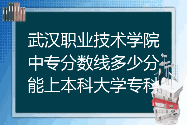 武汉职业技术学院中专分数线多少分能上本科大学专科