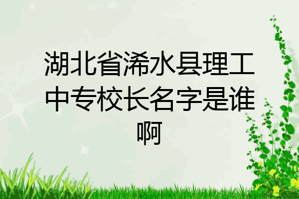 湖北省浠水县理工中专校长名字是谁啊