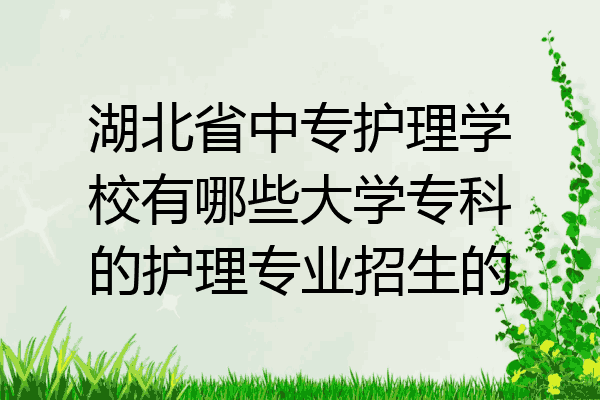 湖北省中专护理学校有哪些大学专科的护理专业招生的