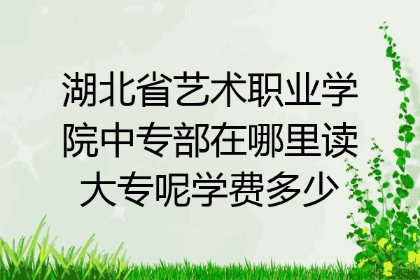 湖北省艺术职业学院中专部在哪里读大专呢学费多少