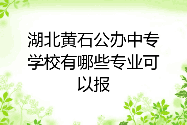 湖北黄石公办中专学校有哪些专业可以报
