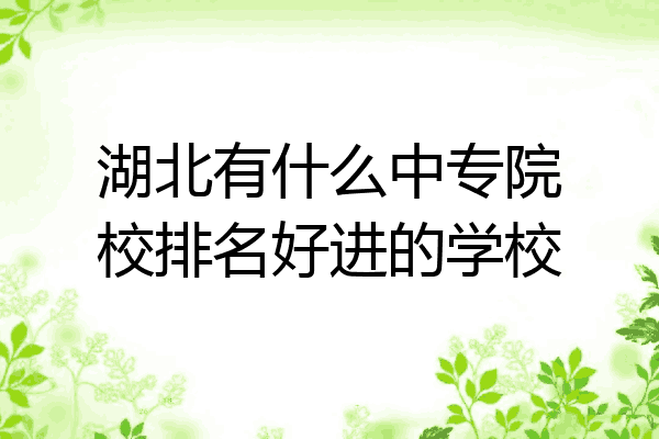 湖北有什么中专院校排名好进的学校