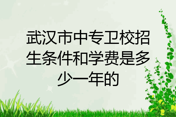 武汉市中专卫校招生条件和学费是多少一年的