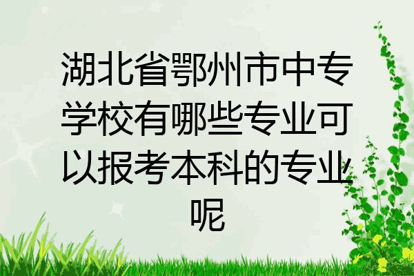 湖北省鄂州市中专学校有哪些专业可以报考本科的专业呢
