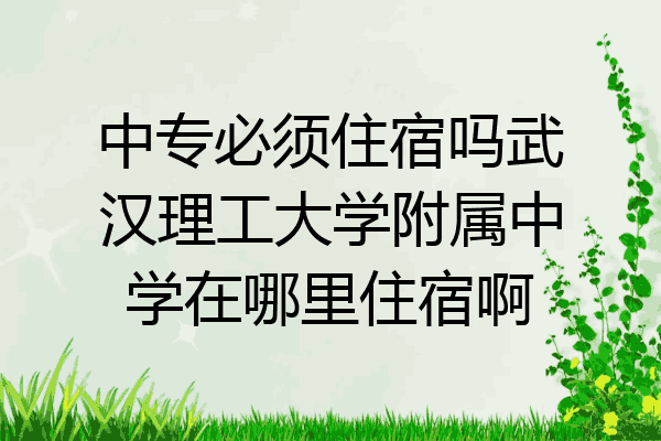 中专必须住宿吗武汉理工大学附属中学在哪里住宿啊
