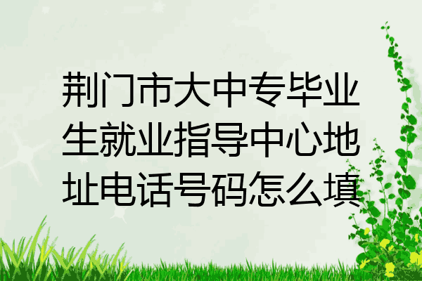 荆门市大中专毕业生就业指导中心地址电话号码怎么填