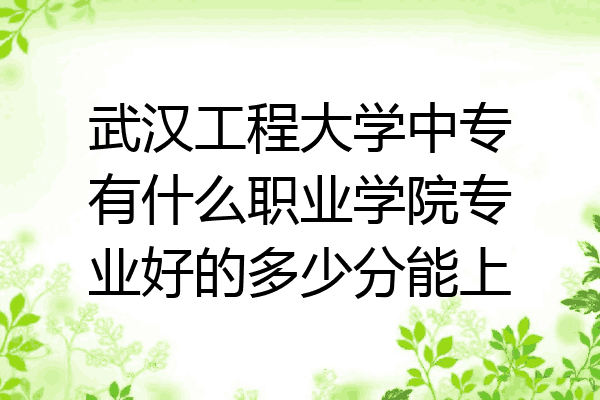武汉工程大学中专有什么职业学院专业好的多少分能上