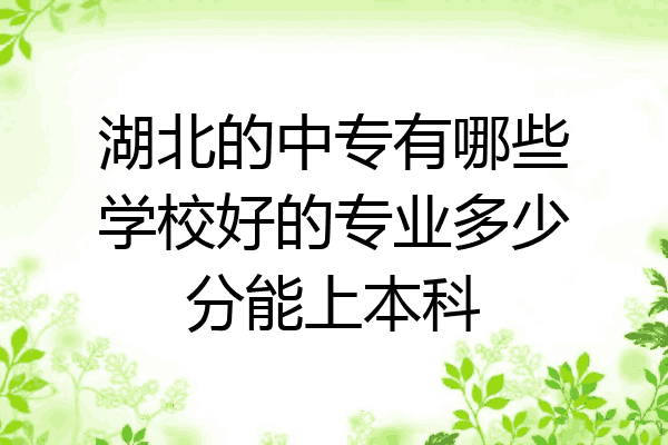 湖北的中专有哪些学校好的专业多少分能上本科