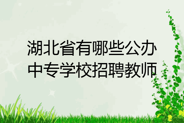 湖北省有哪些公办中专学校招聘教师