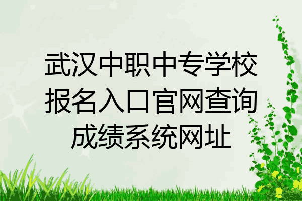 武汉中职中专学校报名入口官网查询成绩系统网址