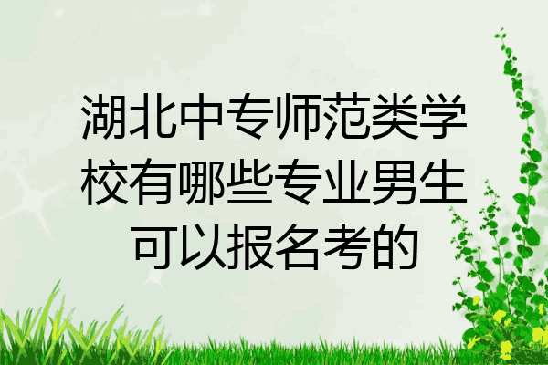 湖北中专师范类学校有哪些专业男生可以报名考的