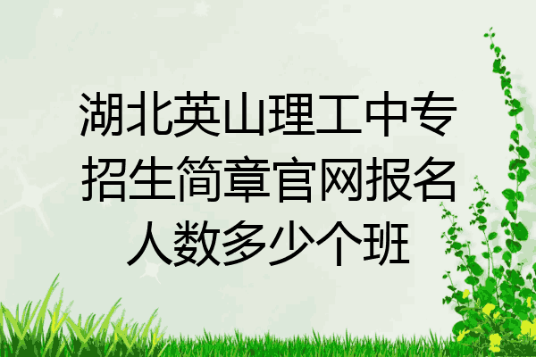 湖北英山理工中专招生简章官网报名人数多少个班