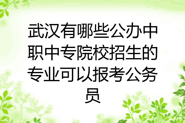 武汉有哪些公办中职中专院校招生的专业可以报考公务员