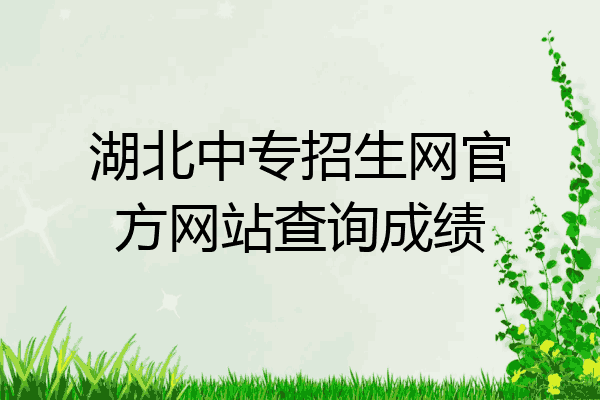 湖北中专招生网官方网站查询成绩