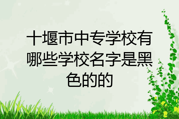 十堰市中专学校有哪些学校名字是黑色的的