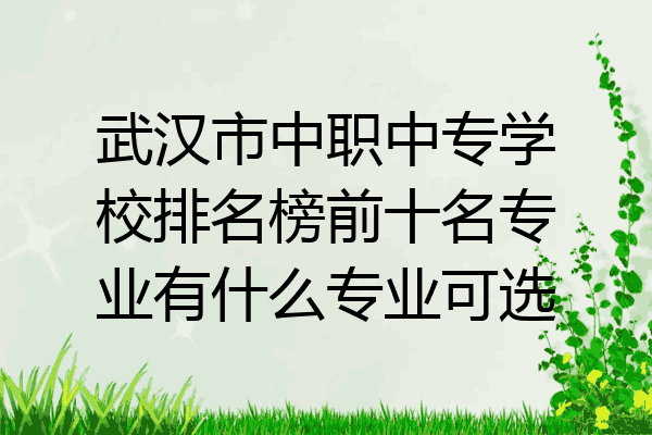 武汉市中职中专学校排名榜前十名专业有什么专业可选
