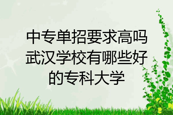 中专单招要求高吗武汉学校有哪些好的专科大学