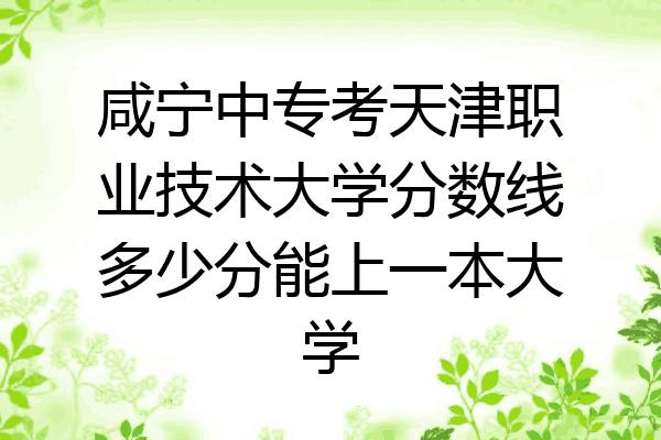 咸宁中专考天津职业技术大学分数线多少分能上一本大学