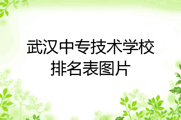 武汉中专技术学校排名表图片
