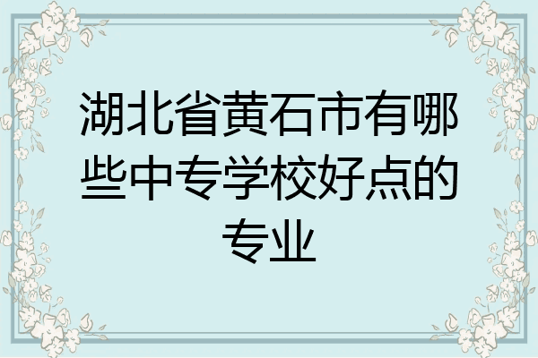 湖北省黄石市有哪些中专学校好点的专业