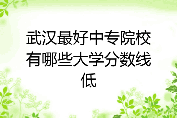 武汉最好中专院校有哪些大学分数线低