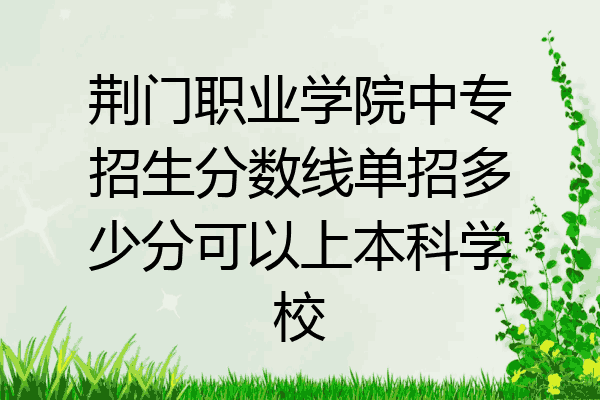 荆门职业学院中专招生分数线单招多少分可以上本科学校