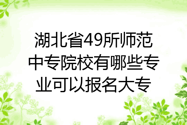 湖北省49所师范中专院校有哪些专业可以报名大专