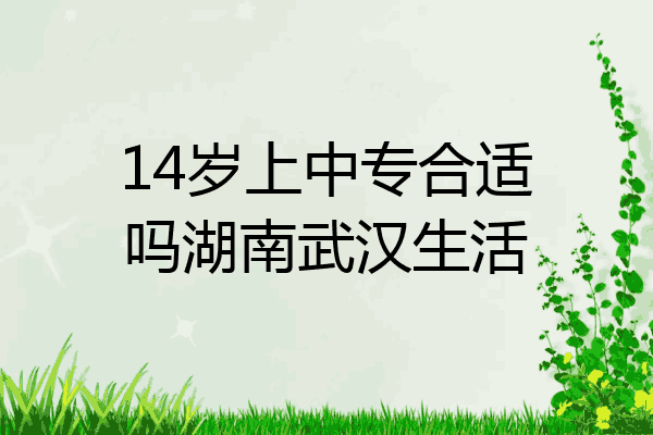 14岁上中专合适吗湖南武汉生活