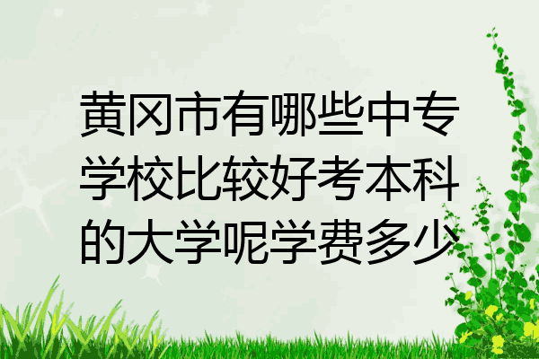 黄冈市有哪些中专学校比较好考本科的大学呢学费多少