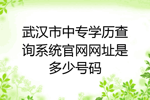 武汉市中专学历查询系统官网网址是多少号码