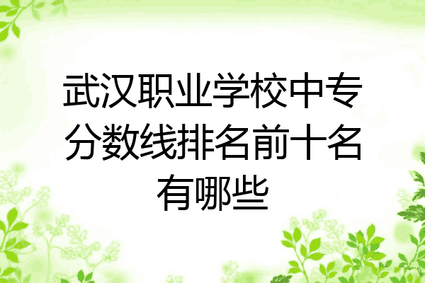 武汉职业学校中专分数线排名前十名有哪些