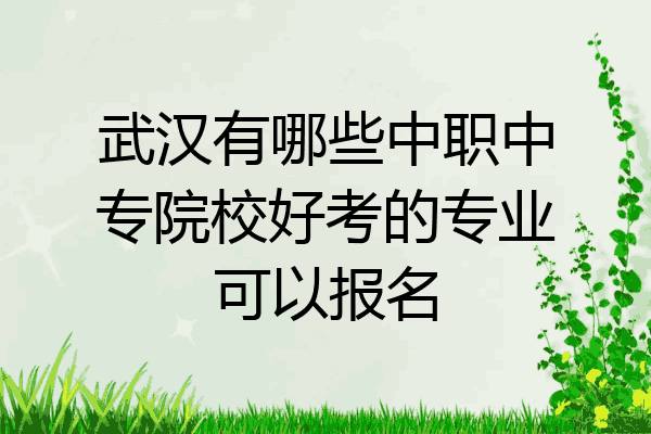 武汉有哪些中职中专院校好考的专业可以报名