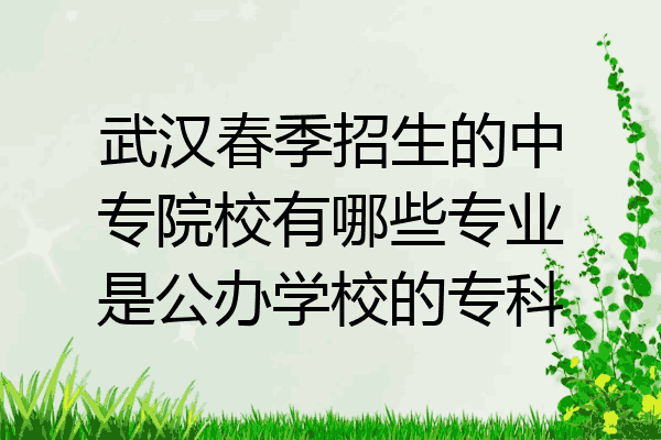 武汉春季招生的中专院校有哪些专业是公办学校的专科