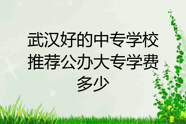 武汉好的中专学校推荐公办大专学费多少