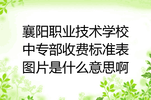 襄阳职业技术学校中专部收费标准表图片是什么意思啊