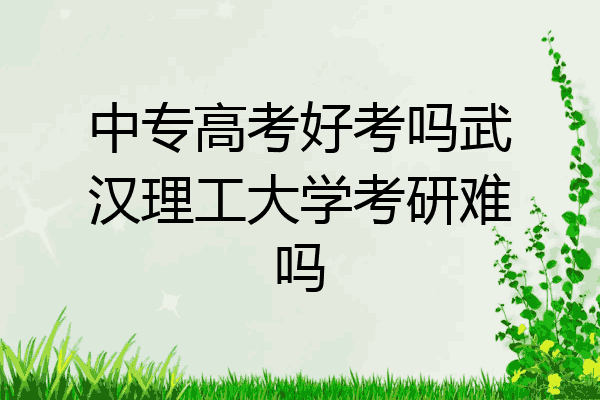 中专高考好考吗武汉理工大学考研难吗