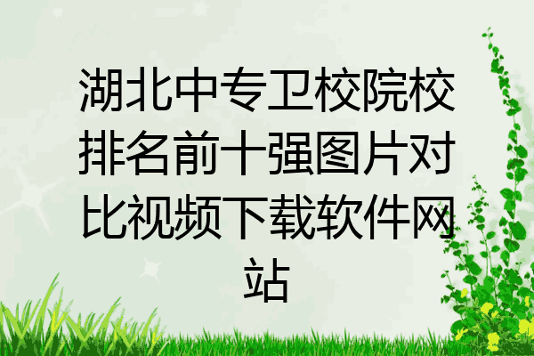湖北中专卫校院校排名前十强图片对比视频下载软件网站