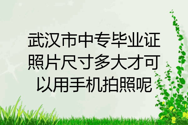 武汉市中专毕业证照片尺寸多大才可以用手机拍照呢