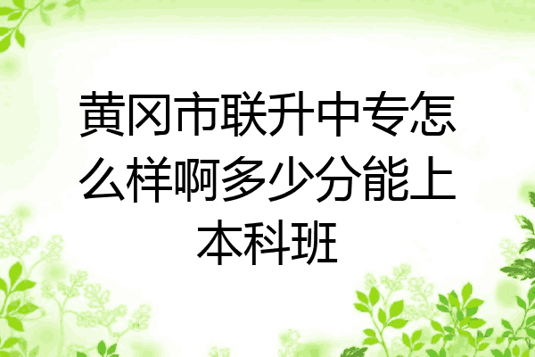黄冈市联升中专怎么样啊多少分能上本科班
