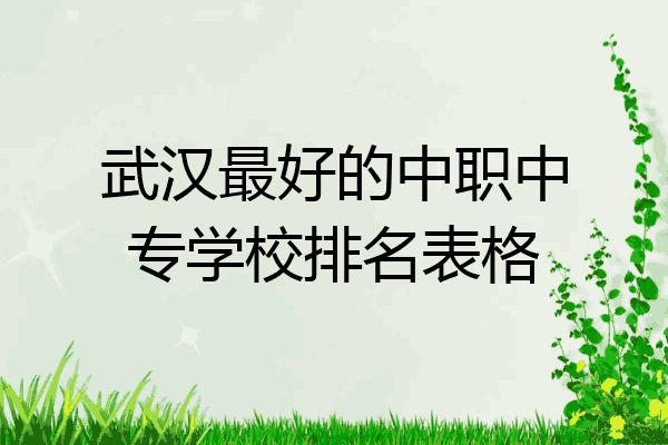 武汉最好的中职中专学校排名表格