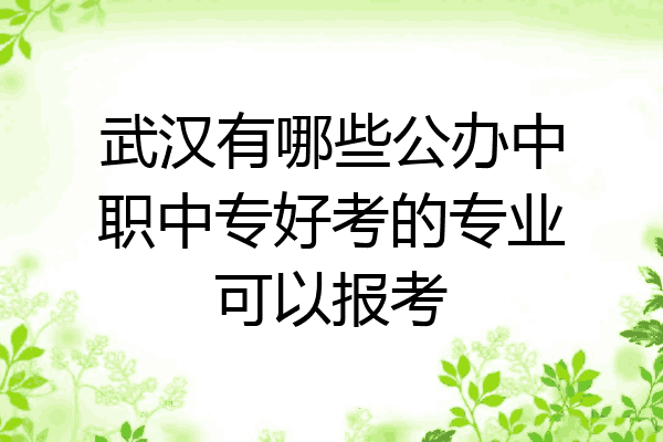 武汉有哪些公办中职中专好考的专业可以报考