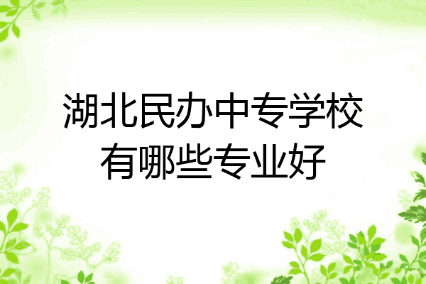 湖北民办中专学校有哪些专业好